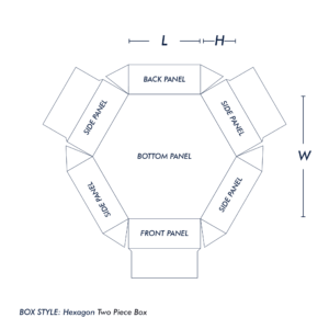 Hexagon boxes panels