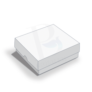 Two Piece Box