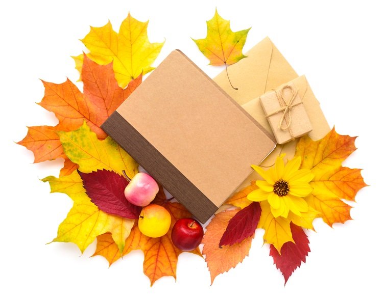 autumn theme boxes